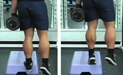 calf raises.jpg