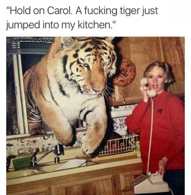 12800289_1501721546508230_921332304190245318_n.png