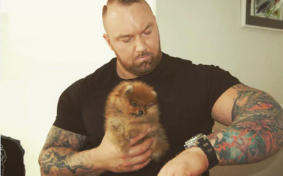 the mountain.png
