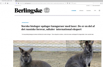 kæng.png