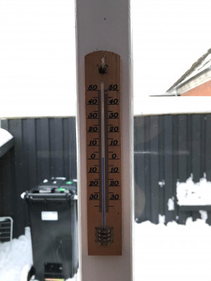 temp ny.jpg