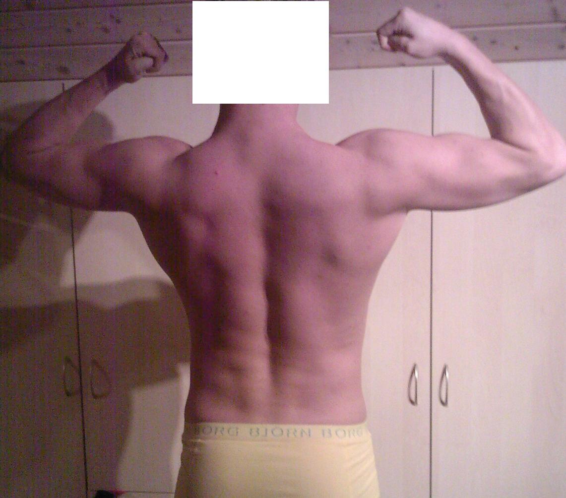 6898-back biceps.jpg