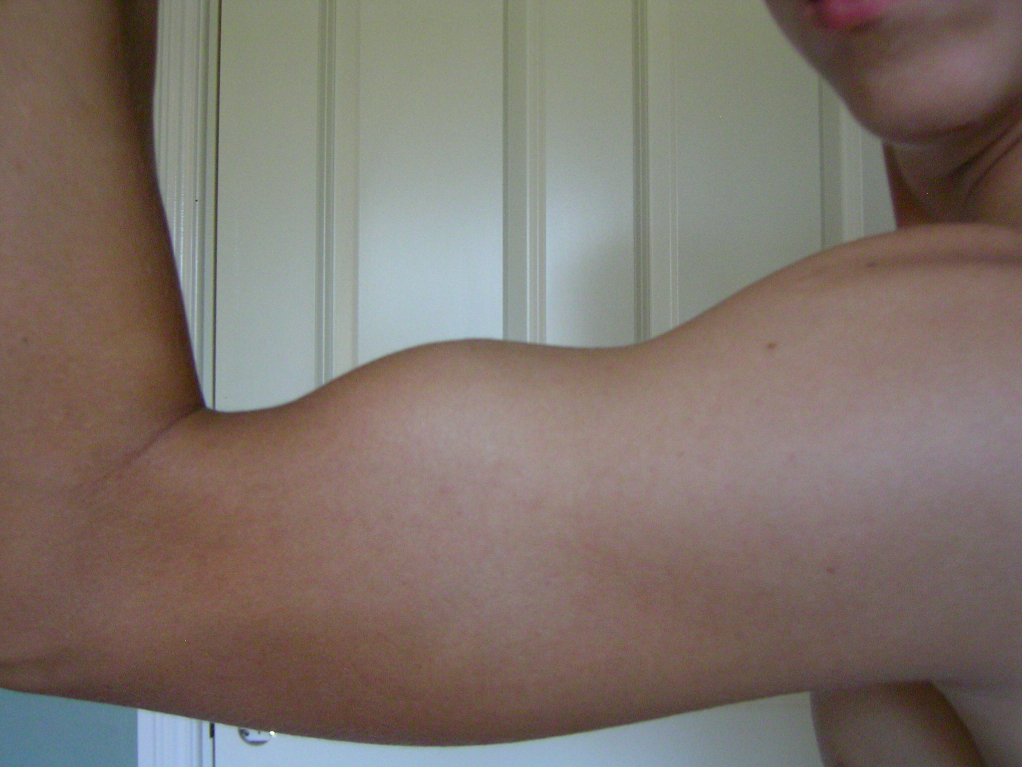 9304-V-biceps D.28-07 006.jpg