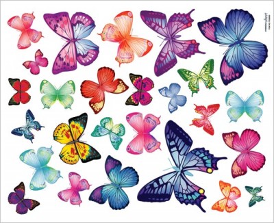colourful-butterflies-barley-wall-stickers-[2]-787-p.jpg
