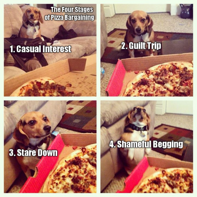pizza begging.png