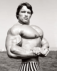 Arnold-Schwarzenegger-image-chest-workout-routine.gif