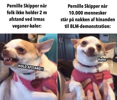 pernille.png